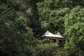Four Seasons Tented Camp Golden Triangle fotoÄŸrafÄ±