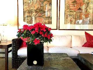 Rachamankha Hotel Chiang Mai fotoÄŸrafÄ±