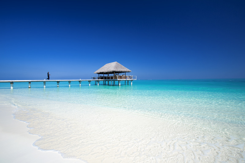 Niva Velassaru Maldives - Restoran