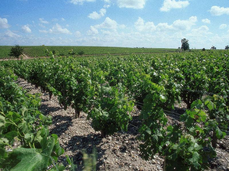 Adagio Access Bordeaux Sud Pessac - Genel