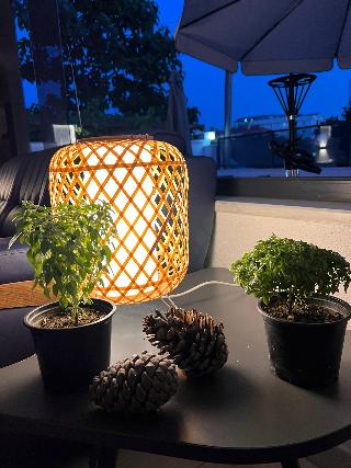 Çayır Boutique Hotel fotoÄŸrafÄ±