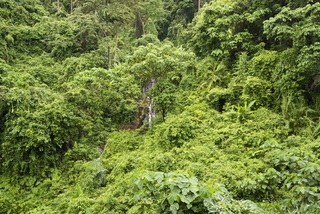 SYLVAN Koh Chang fotoÄŸrafÄ±