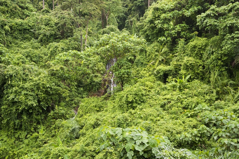 SYLVAN Koh Chang - Genel