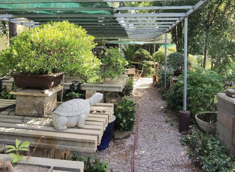 Apart-hotel Quinta Das Eirinhas-jardim De Bonsai - Genel