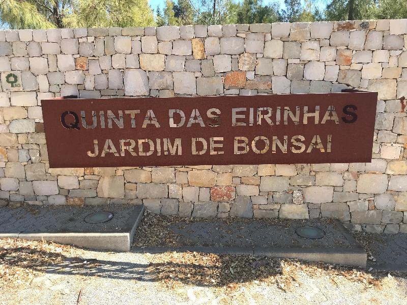 Apart-hotel Quinta Das Eirinhas-jardim De Bonsai - Genel