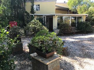 Apart-hotel Quinta Das Eirinhas-jardim De Bonsai fotoÄŸrafÄ±