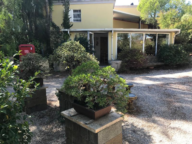 Apart-hotel Quinta Das Eirinhas-jardim De Bonsai - Genel