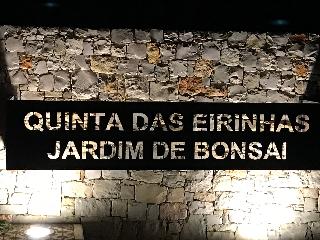 Apart-hotel Quinta Das Eirinhas-jardim De Bonsai fotoÄŸrafÄ±