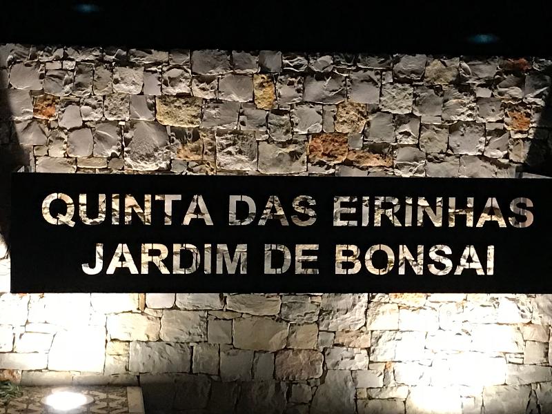 Apart-hotel Quinta Das Eirinhas-jardim De Bonsai - Genel