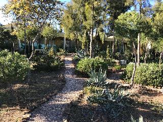 Apart-hotel Quinta Das Eirinhas-jardim De Bonsai fotoÄŸrafÄ±