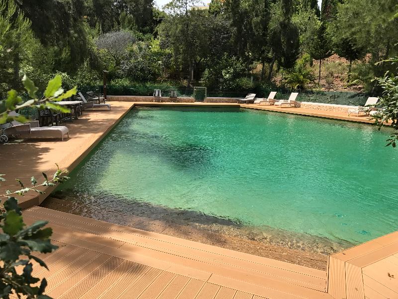 Apart-hotel Quinta Das Eirinhas-jardim De Bonsai - Havuz