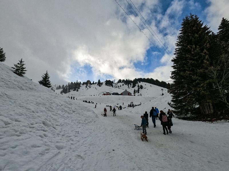 Raízes Da Vinha – Mountain Hotel, Serra Da Estrela - Aktivite