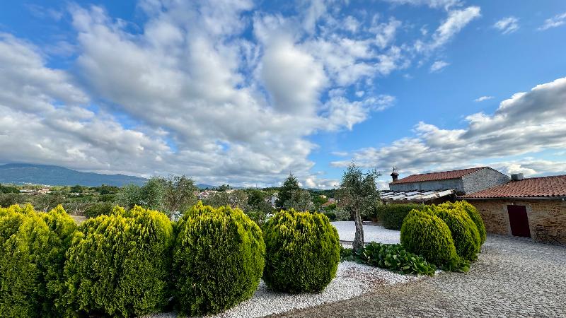 Raízes Da Vinha – Mountain Hotel, Serra Da Estrela - Genel