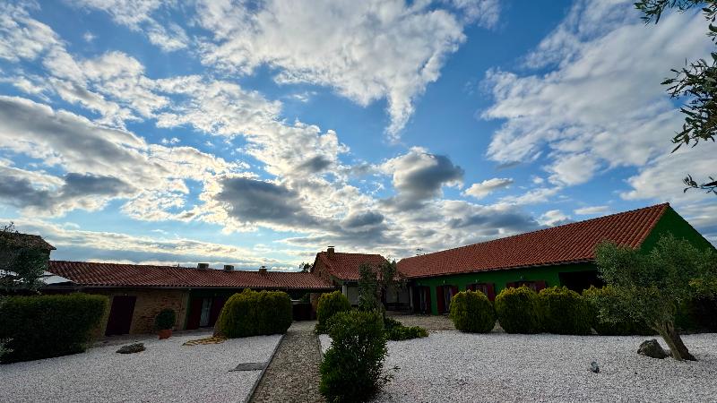 Raízes Da Vinha – Mountain Hotel, Serra Da Estrela - Genel