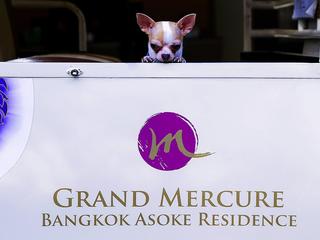 Grand Mercure Asoke Residence fotoÄŸrafÄ±