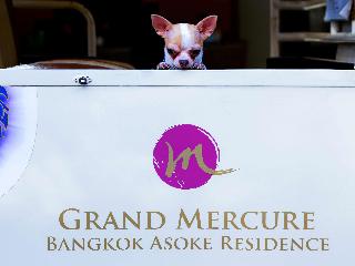 Grand Mercure Asoke Residence fotoÄŸrafÄ±