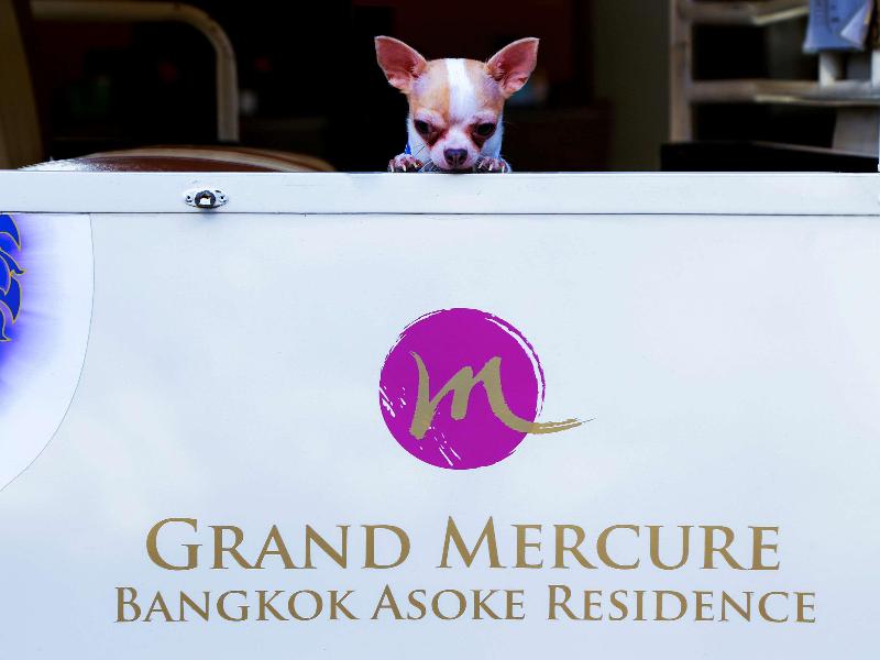 Grand Mercure Asoke Residence - Genel