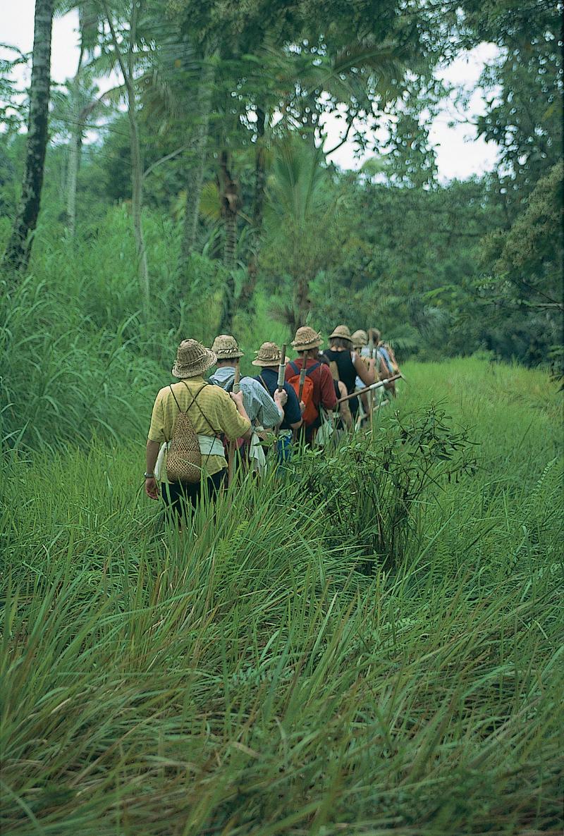 Wapa di Ume Ubud - Aktivite