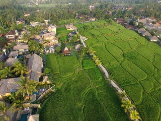 Wapa di Ume Ubud fotoÄŸrafÄ±