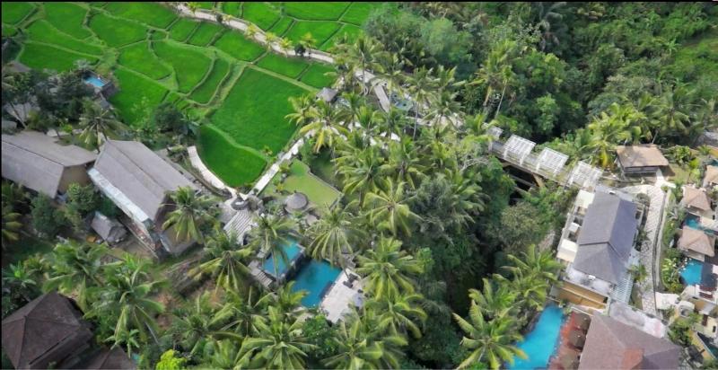 Wapa di Ume Ubud - Genel