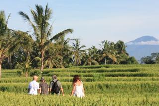 Wapa di Ume Ubud fotoÄŸrafÄ±