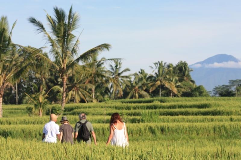 Wapa di Ume Ubud - Genel