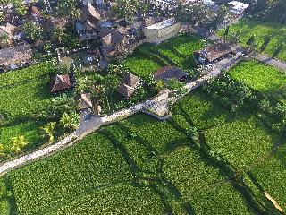 Wapa di Ume Ubud fotoÄŸrafÄ±