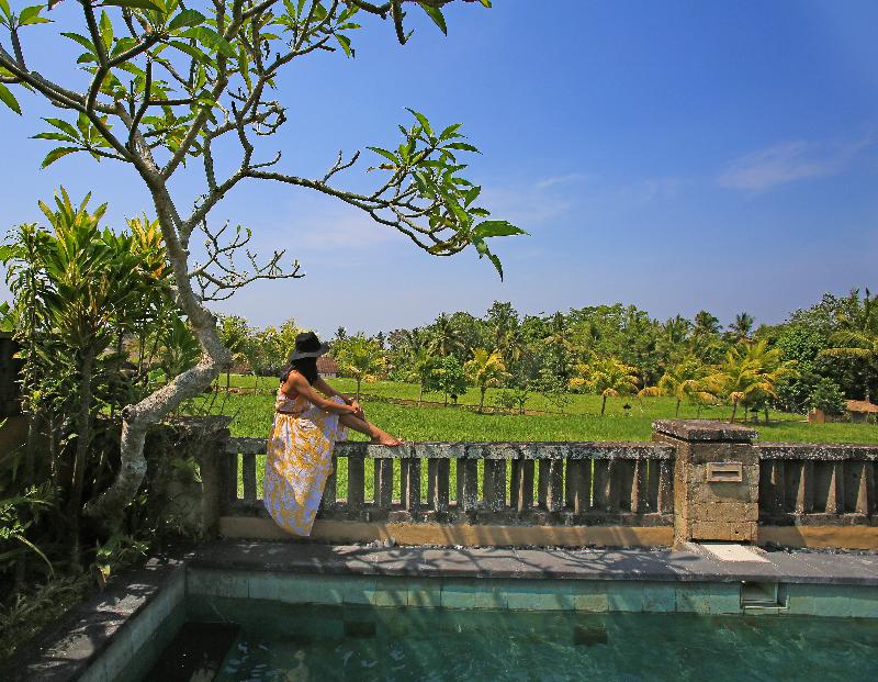 Wapa di Ume Ubud - Havuz