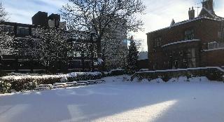 Best Western Plough & Harrow Hotel fotoÄŸrafÄ±