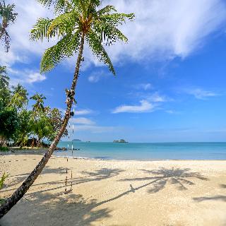 Dewa Koh Chang fotoÄŸrafÄ±