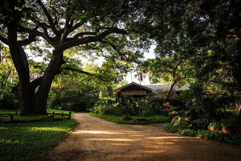 Kaomai Lanna Resort Chiang Mai - Aktivite