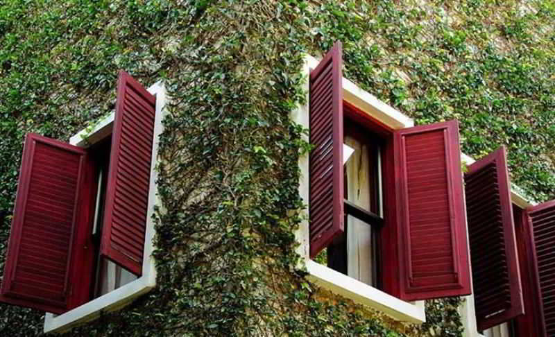 Kaomai Lanna Resort Chiang Mai fotoÄŸrafÄ±