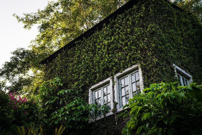 Kaomai Lanna Resort Chiang Mai - Oda