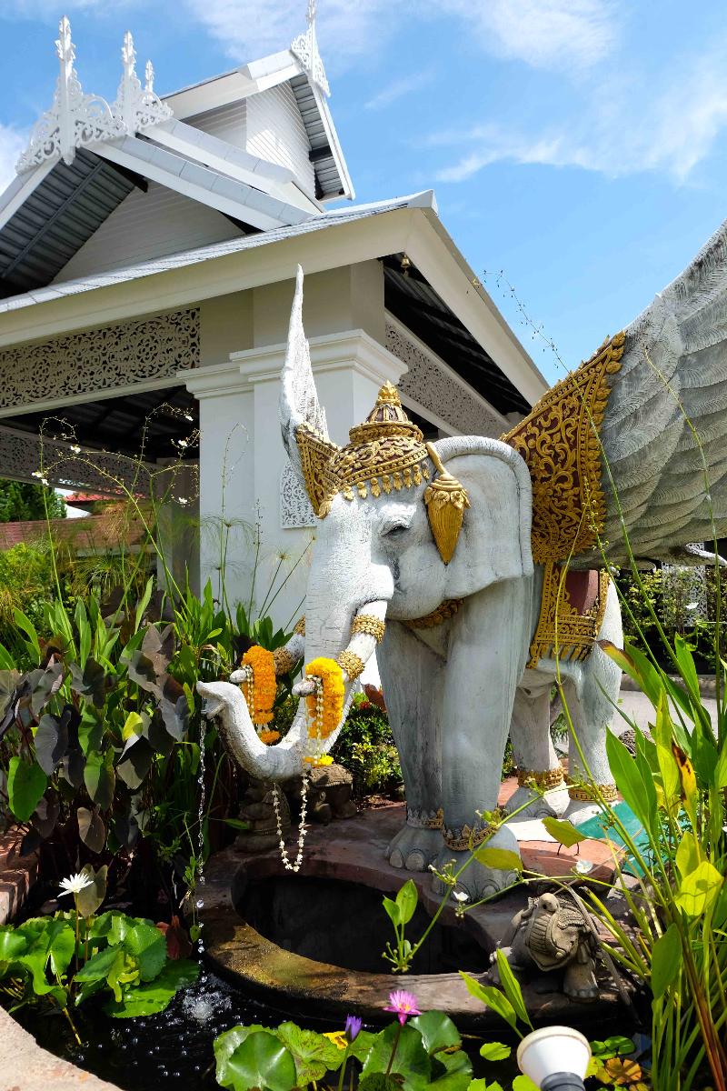 Karinthip Village Chiang Mai - Lobi