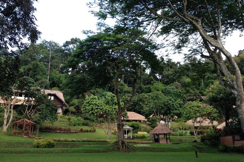 Mae Sa Valley Craft Village - Teras