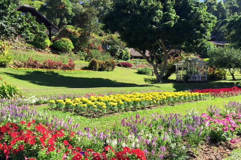Mae Sa Valley Craft Village - Teras