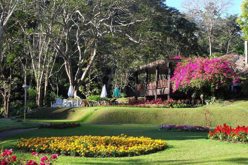 Mae Sa Valley Craft Village - Teras