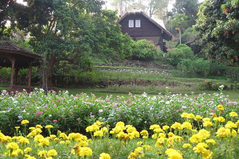 Mae Sa Valley Craft Village - Teras