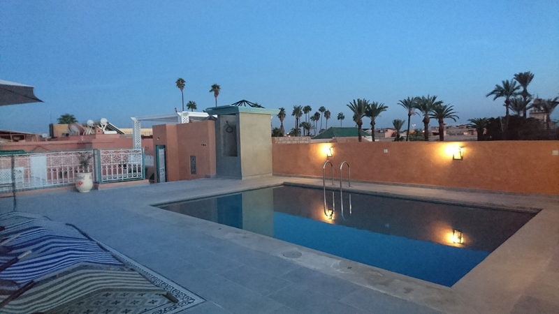 Riad Les Oliviers and Spa - Havuz