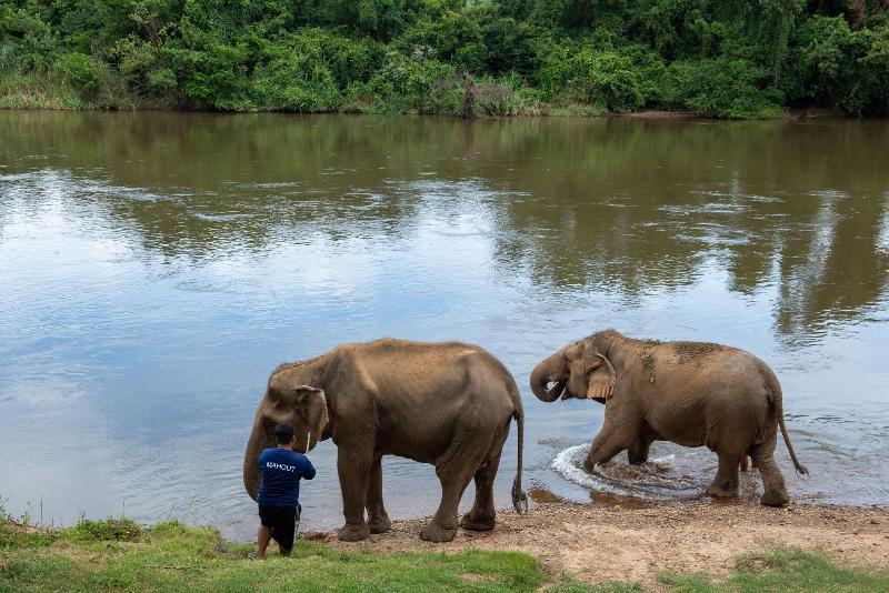 Legacy River Kwai Resort - Genel