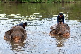 Legacy River Kwai Resort fotoÄŸrafÄ±