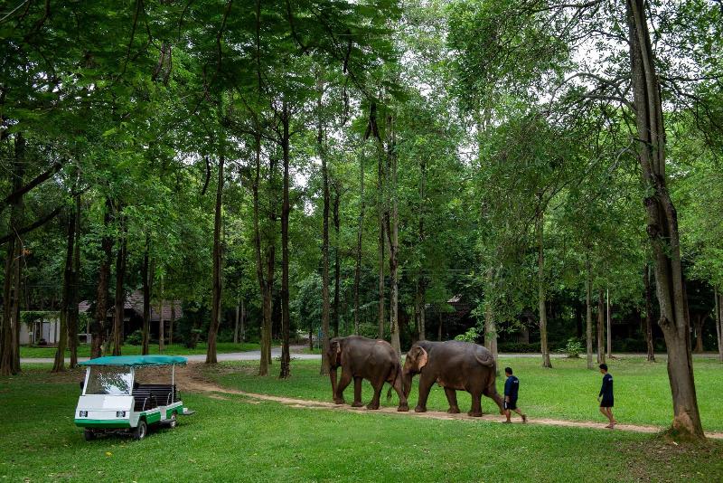 Legacy River Kwai Resort - Genel