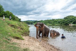 Legacy River Kwai Resort fotoÄŸrafÄ±