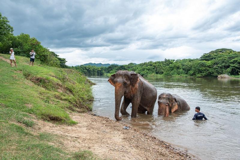 Legacy River Kwai Resort - Genel