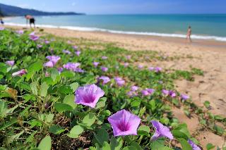 Ramada Khao Lak Resort fotoÄŸrafÄ±
