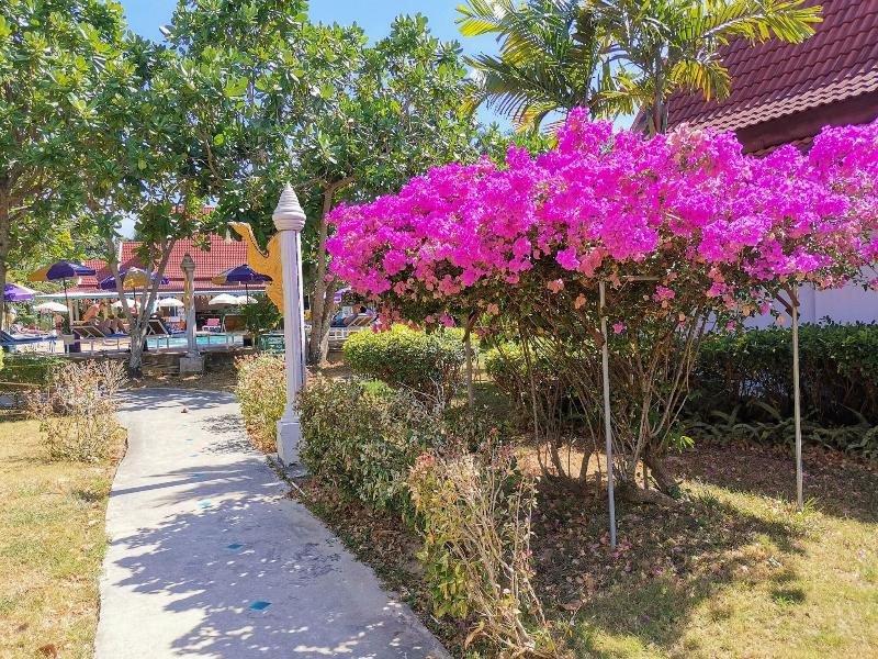 Holiday Villa - Teras