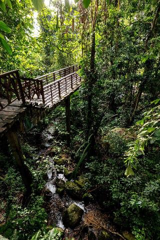 Khaolak Wanaburee Resort fotoÄŸrafÄ±