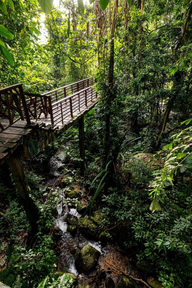Khaolak Wanaburee Resort - Genel