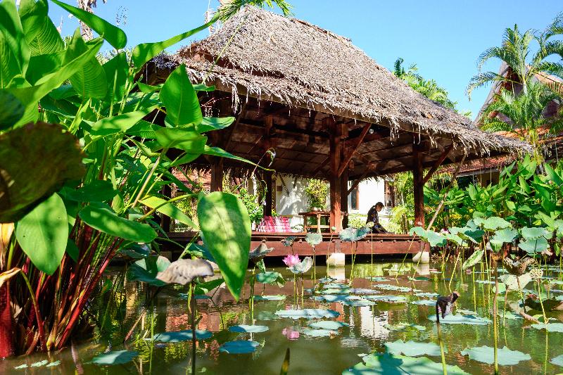 Khaolak Bhandari Resort & Spa - Aktivite