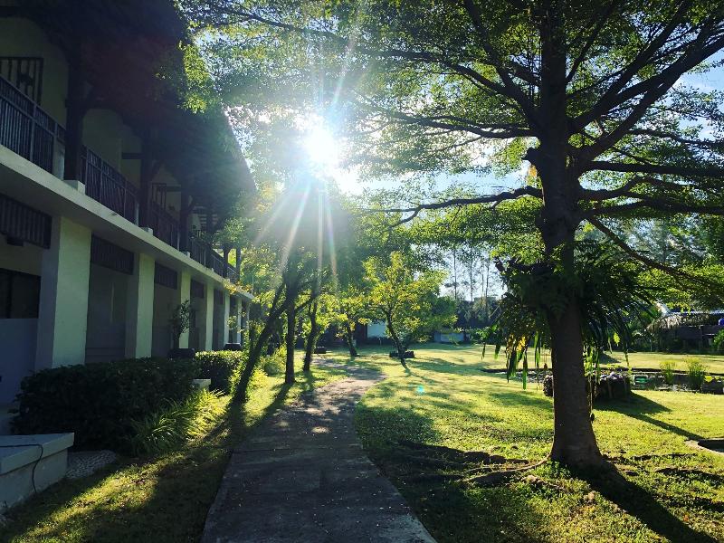 Palm Galleria Resort - Genel